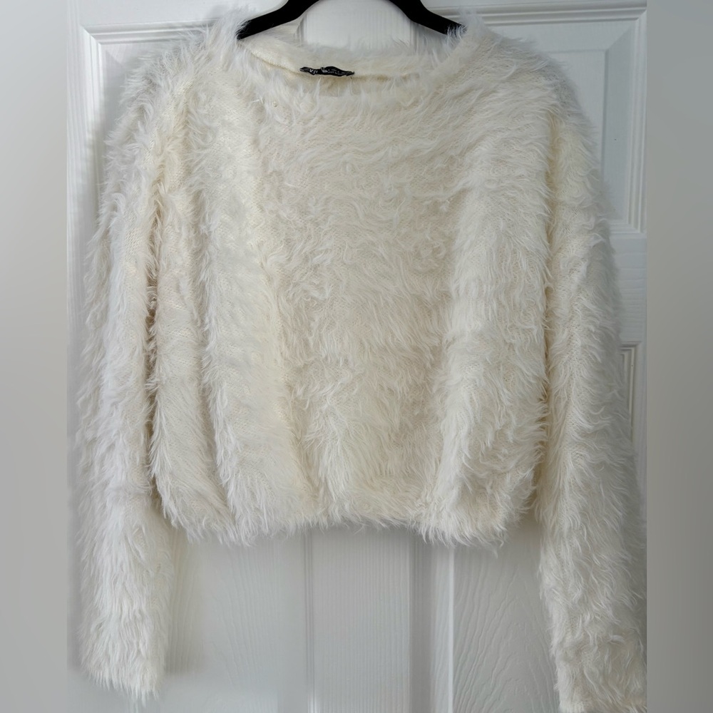 Zara Fuzzy Cropped Sweater